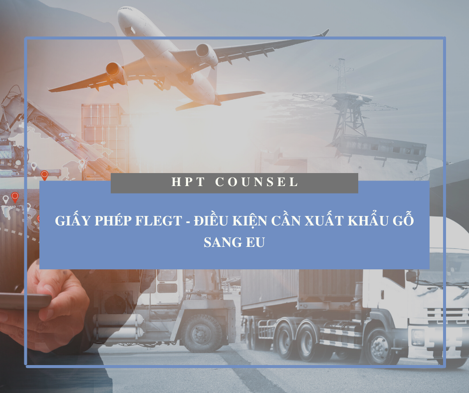 Giấy phép FLEGT - Điều kiện cần xuất khẩu gỗ sang EU