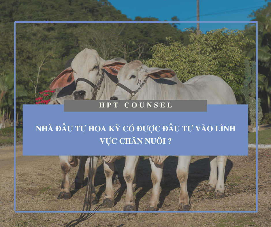 Nhà đầu tư Hoa Kỳ có được đầu tư vào lĩnh vực chăn nuôi ?