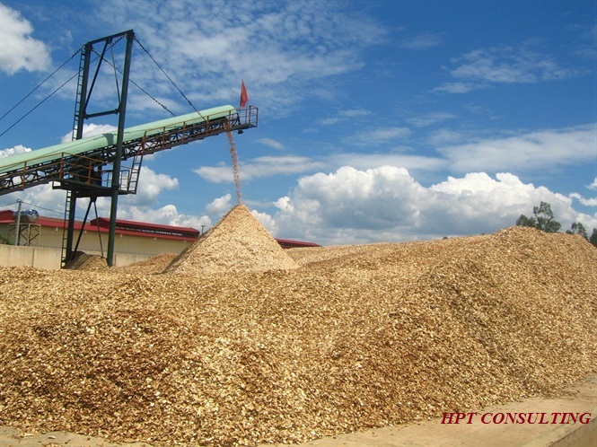 Doanh nghiệp dăm gỗ: Đối mặt nguy cơ phá sản