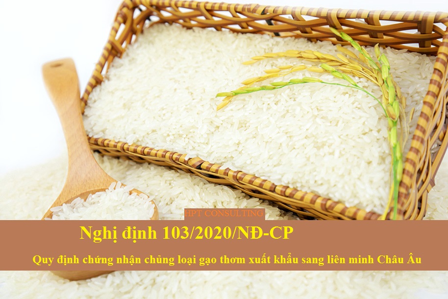 Ban hành quy định chứng nhận gạo thơm xuất sang Châu Âu