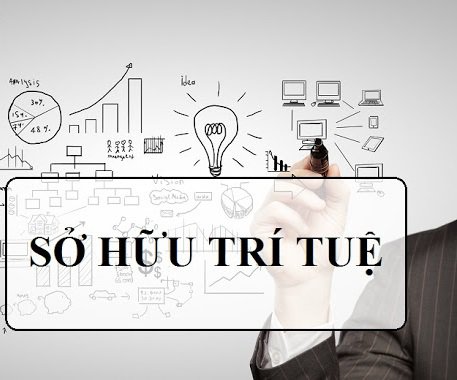 Sở hữu trí tuệ