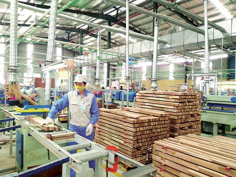 Đã có quy định gỗ hợp pháp, gỗ Việt 