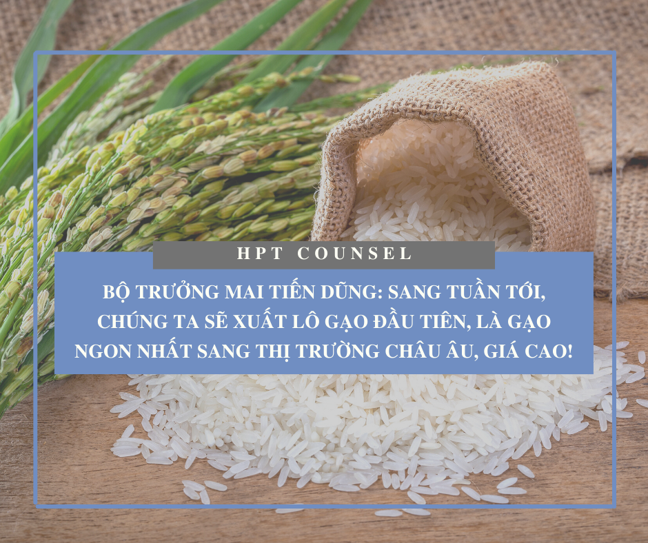 Bộ trưởng Mai Tiến Dũng: Sang tuần tới, chúng ta sẽ xuất lô gạo đầu tiên, là gạo ngon nhất sang thị trường châu Âu, giá cao!